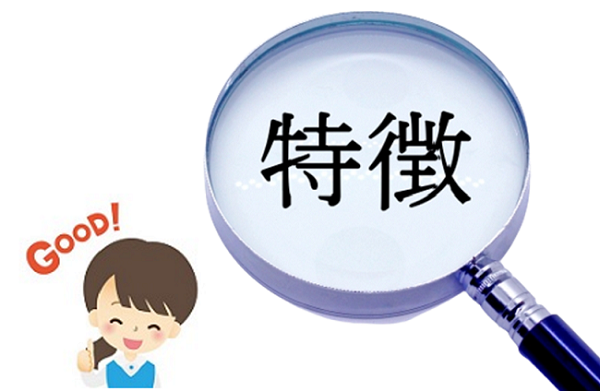 「大人のための自宅留学」の特徴